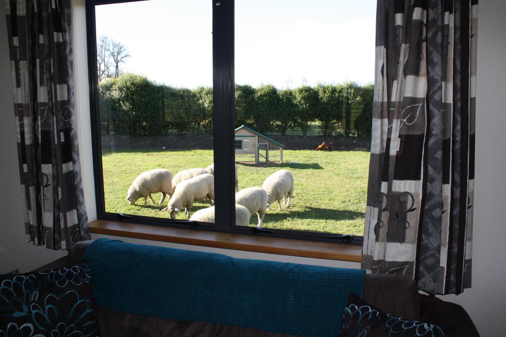 Cottages On St Andrews ハブロック・ノース 部屋 写真